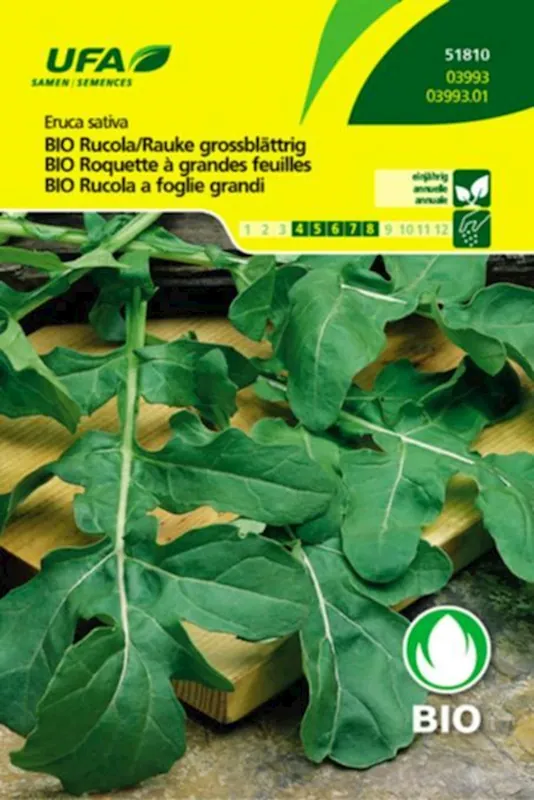 Kräuter Rucola Rauke BIO-K UFA Gratis Versand