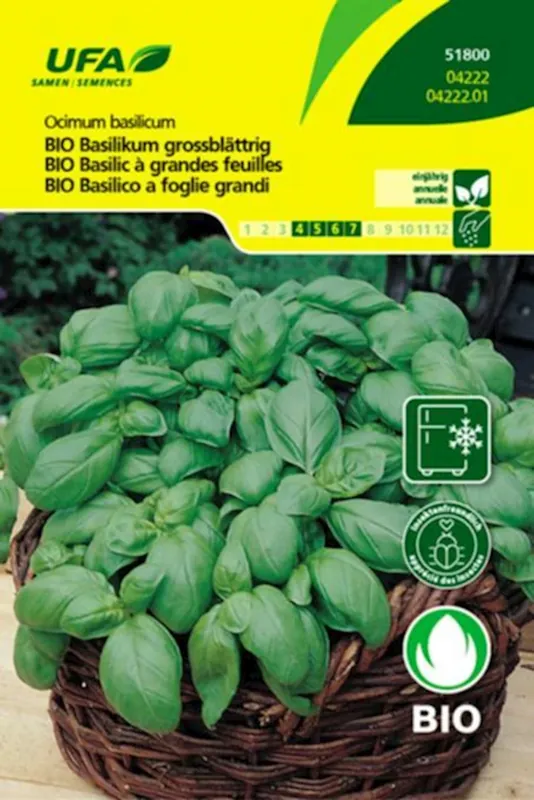 Kräuter Basilikum BIO-K UFA Gratis Versand