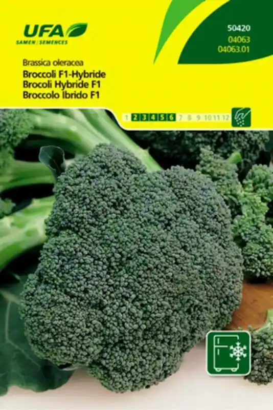 Preis Gesenkt Broccoli Hybride UFA