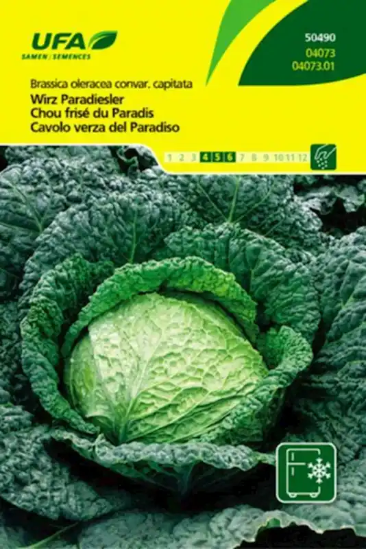 Finale Aktion Wirz Paradiesler UFA