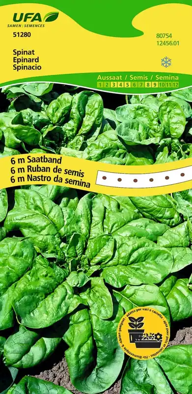 Saatband Spinat UFA Echt