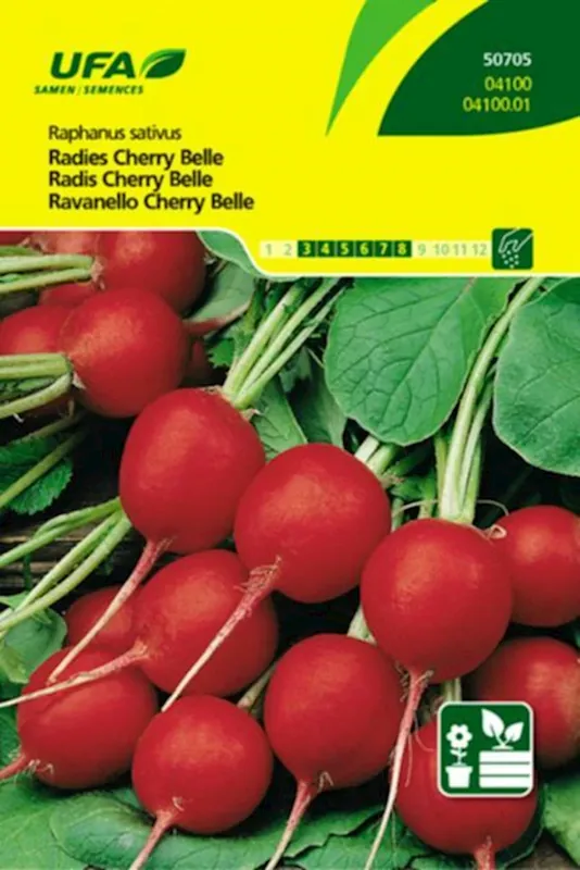 Jetzt Bestellen Radies Cherry Belle UFA