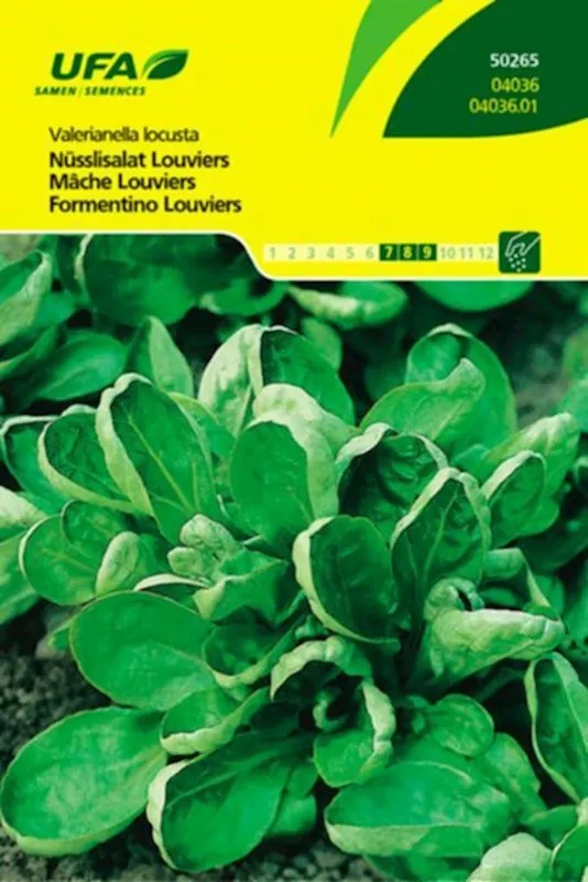 Nüsslisalat Louviers UFA Preis Gesenkt