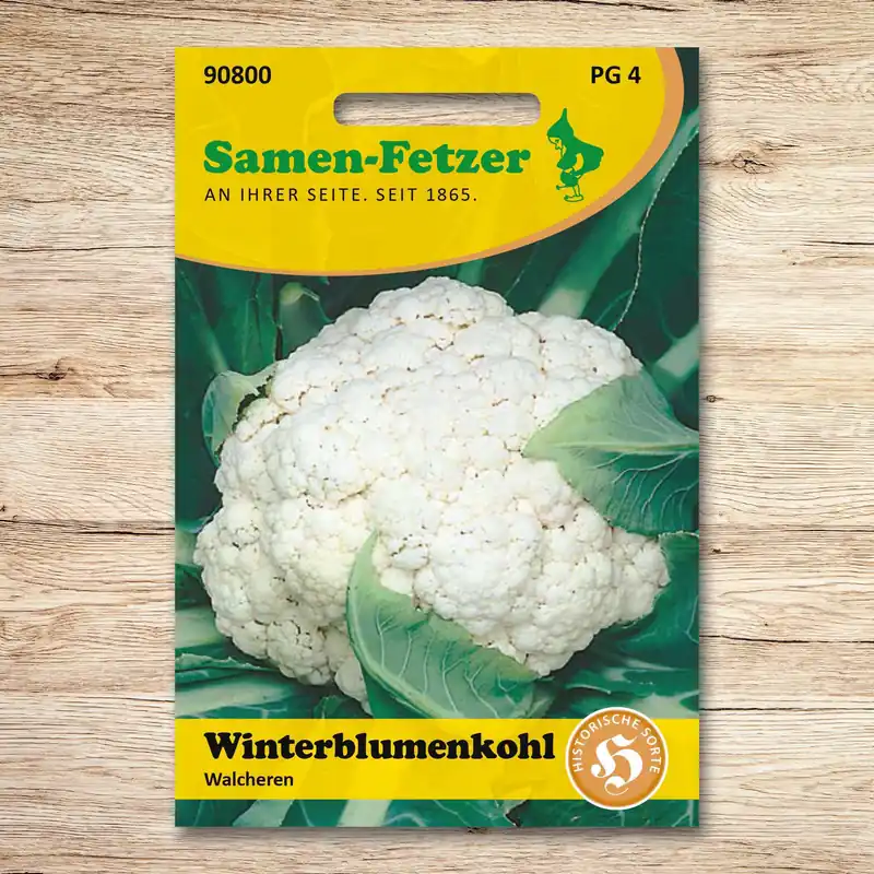 Winterblumenkohl Walcheren Neu
