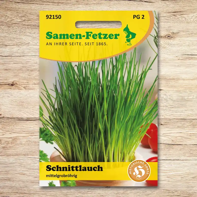 Schnittlauch mittelgrobröhrig Neuheit