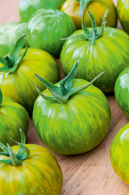 Tomaten Green Zebra Markenware