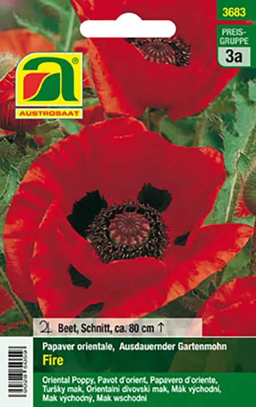 Schneller Versand Mohn Orientale Fire