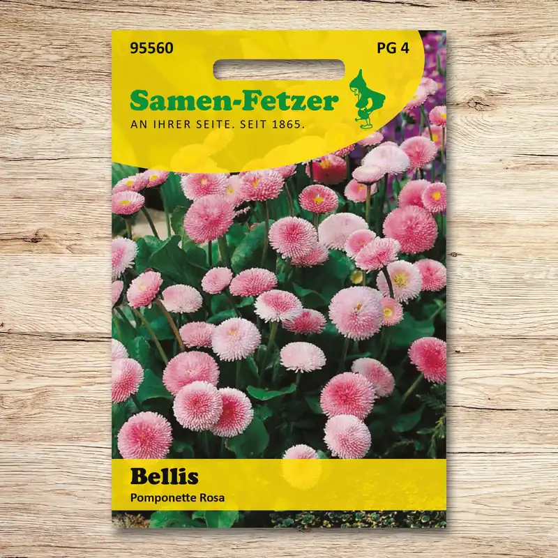 Markenware Bellis Pomponette, rosa