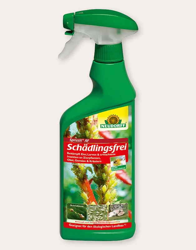 Neuheit Spruzit AF Schädlingsfrei-Spray